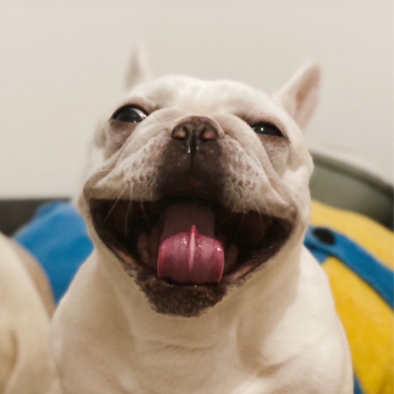 coco
