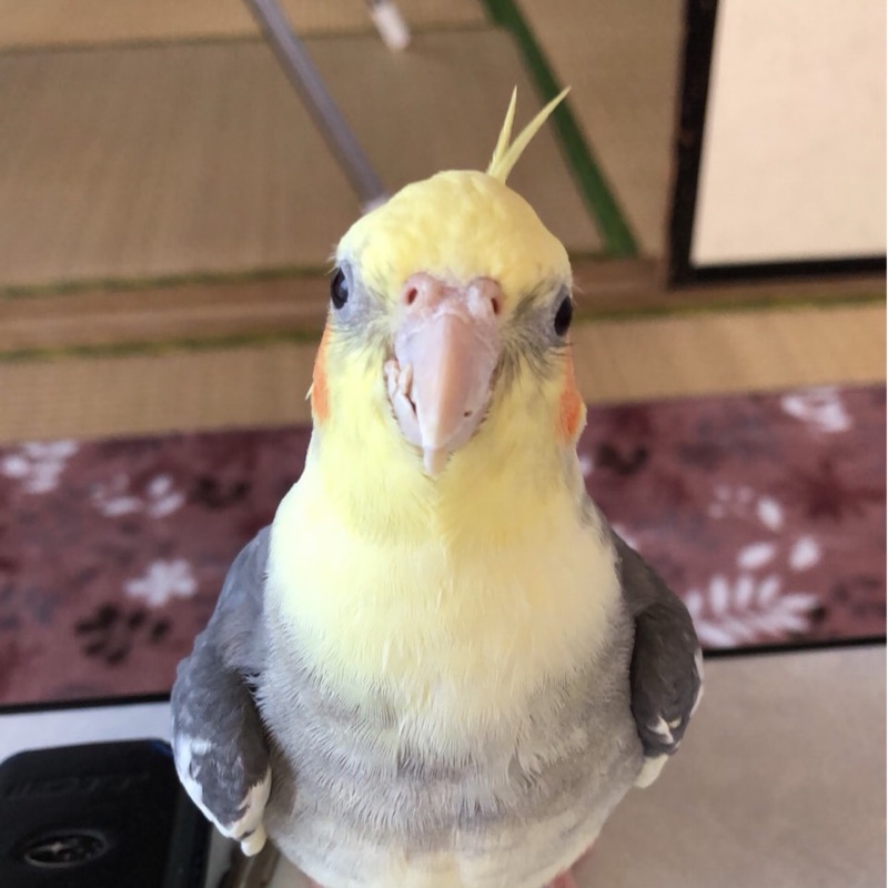 塚田