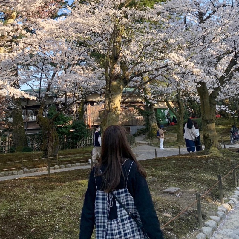 豊崎　千花菜