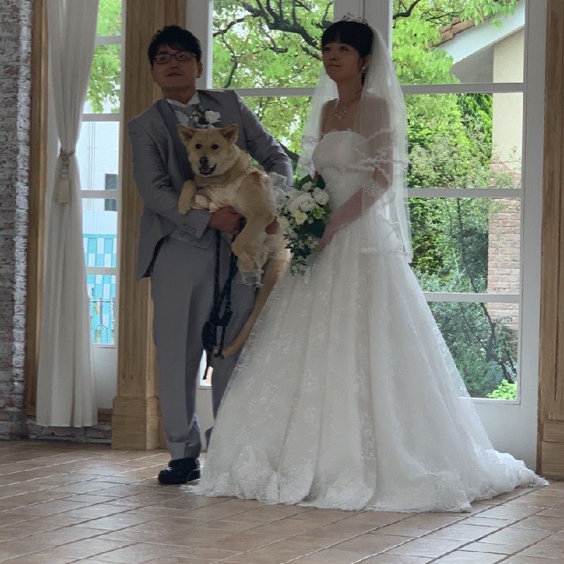 こずえ