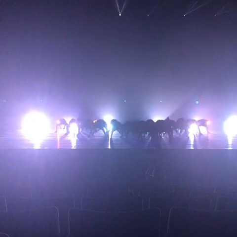 彩華