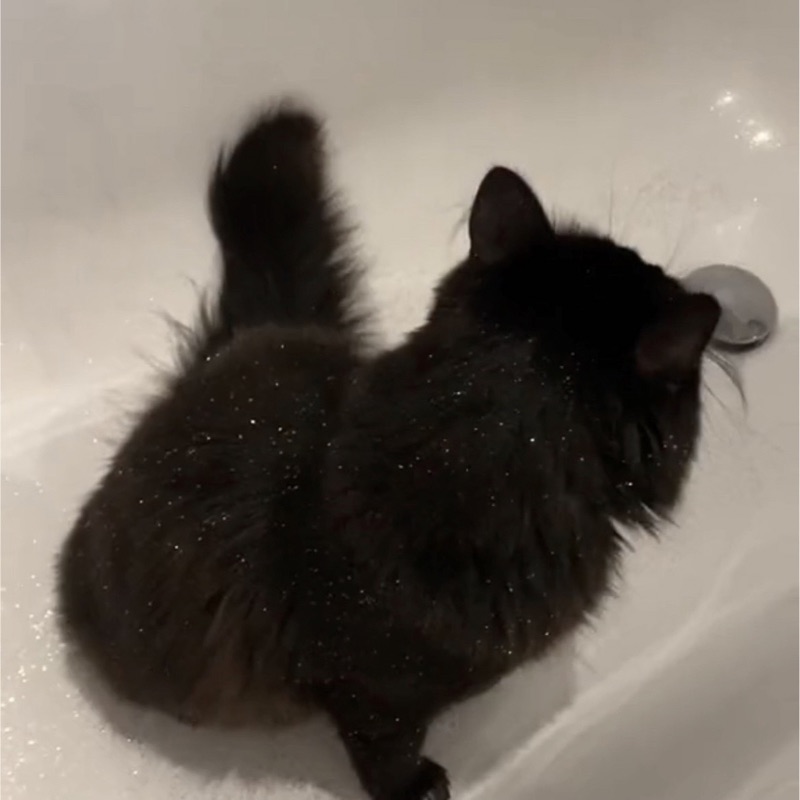 まお