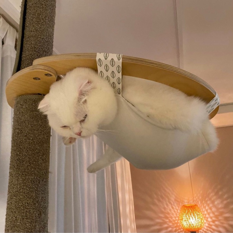 越後屋希