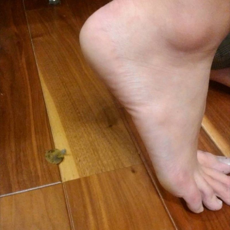 小金井　西施