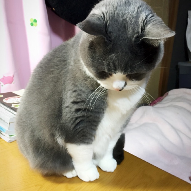 717