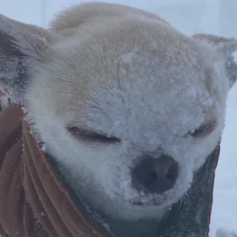 そら