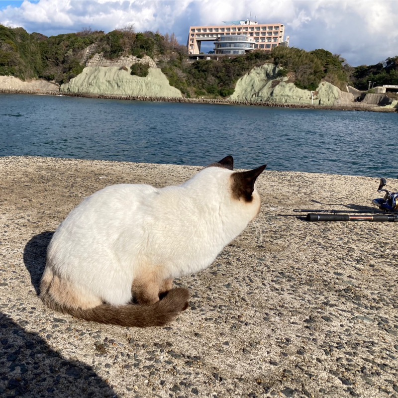 たつ