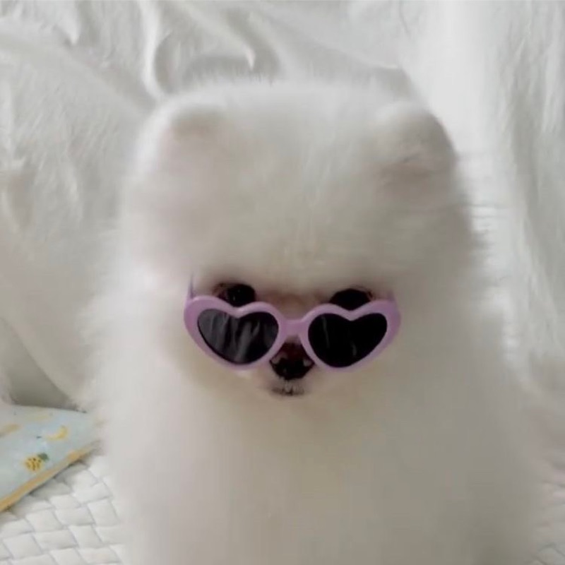 はなこ