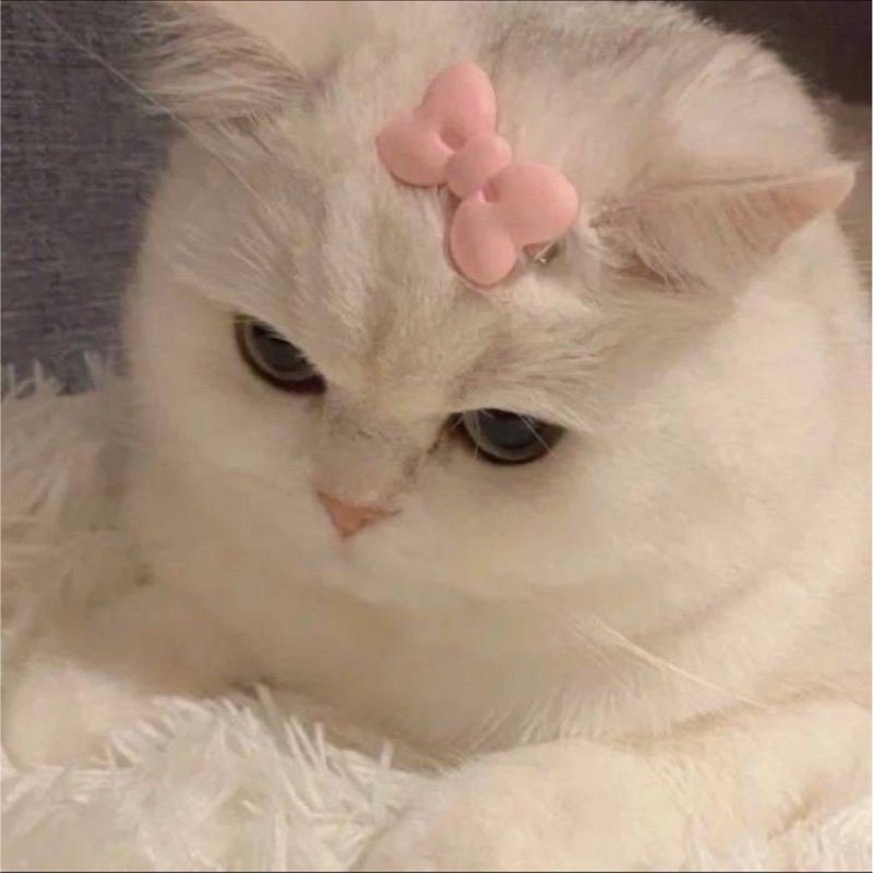 望月春樹