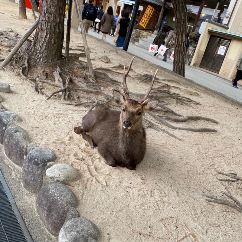 今