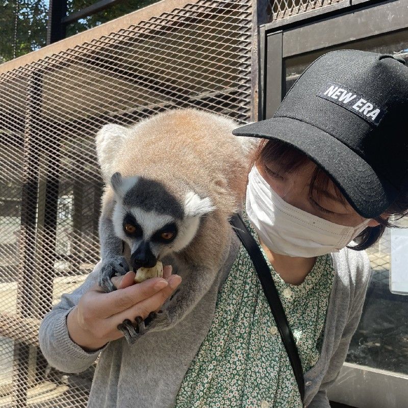 若松　しのぶ