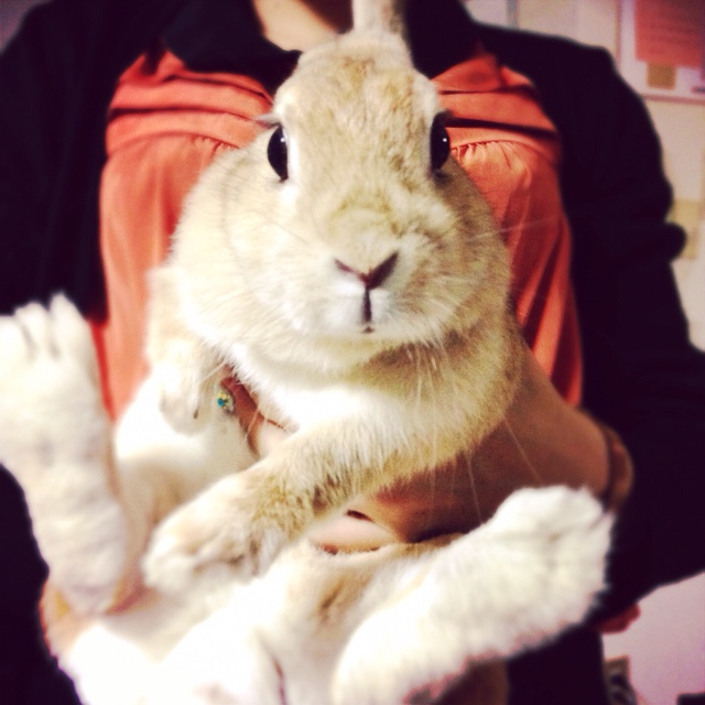 なっちゃん