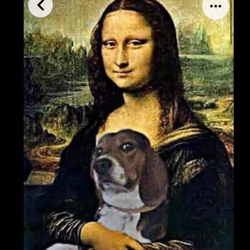 年配者には特にお勧め✨