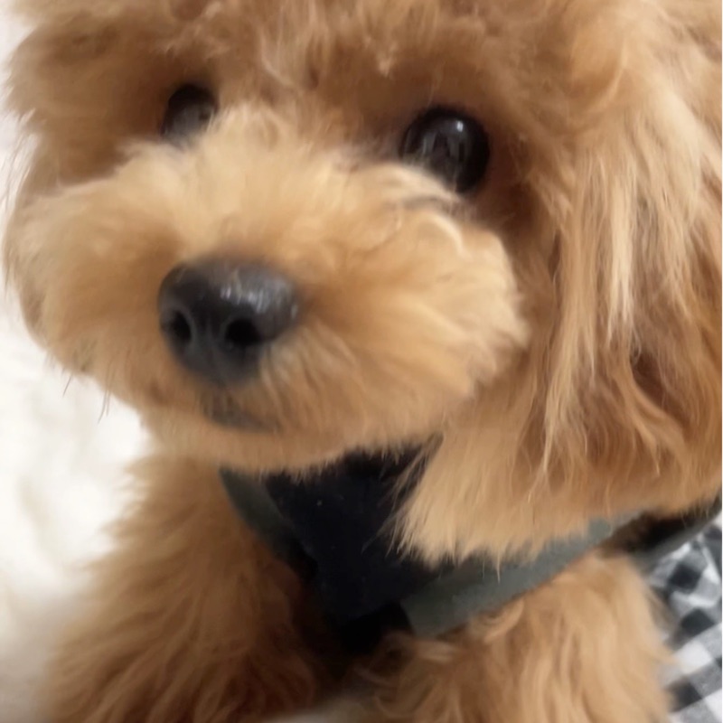 鈴木こころ