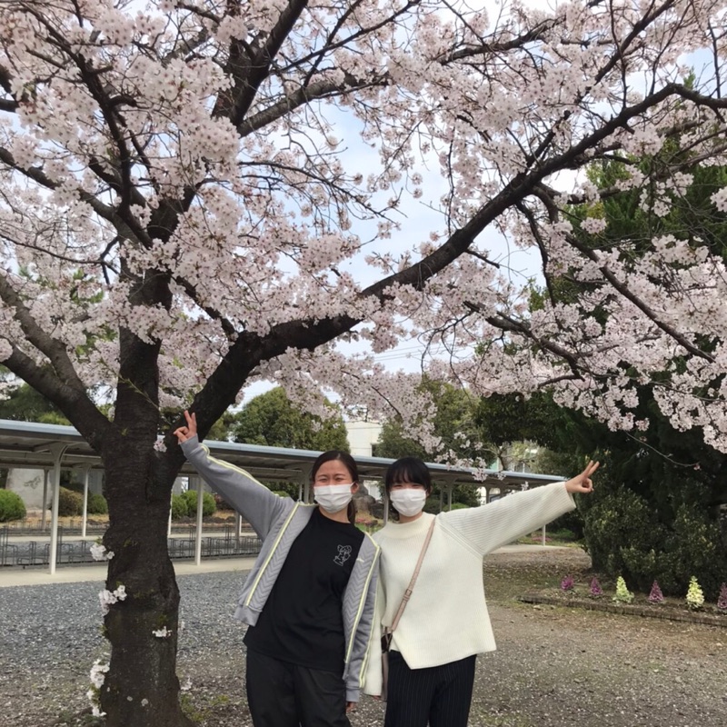 なこ