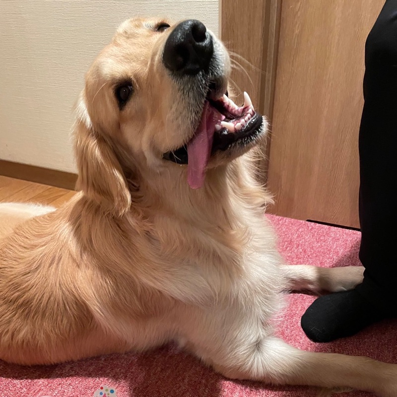 杉山ゆきえ