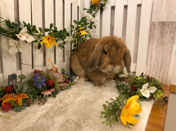 助のぽん助お父さん