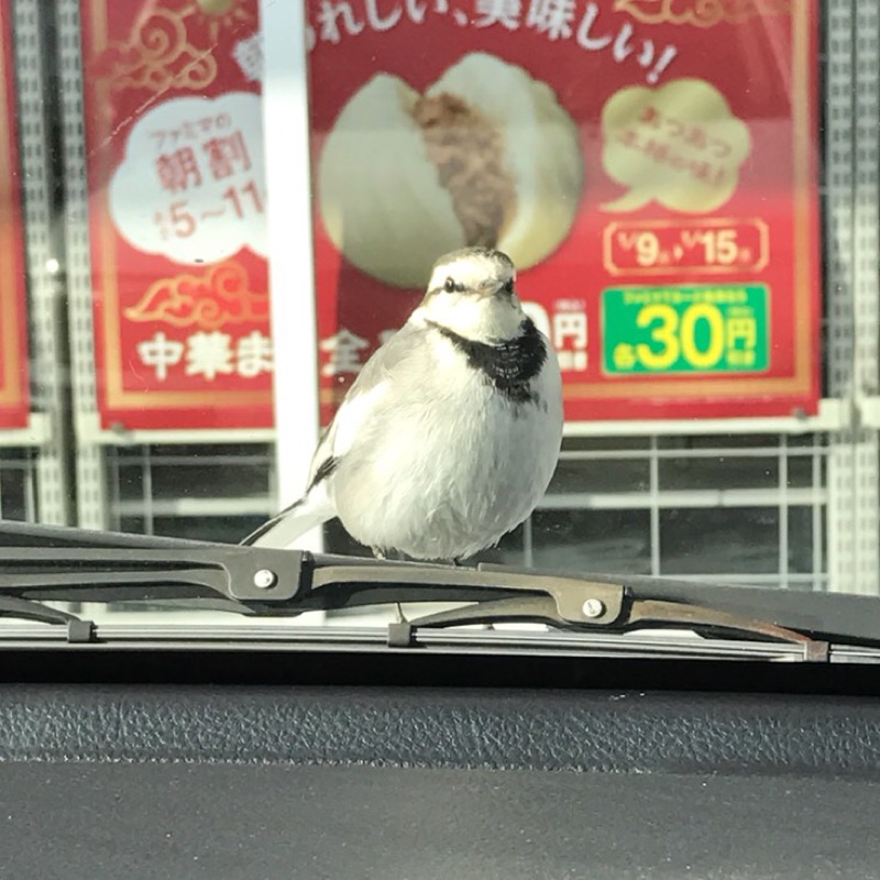 渋谷　早亮