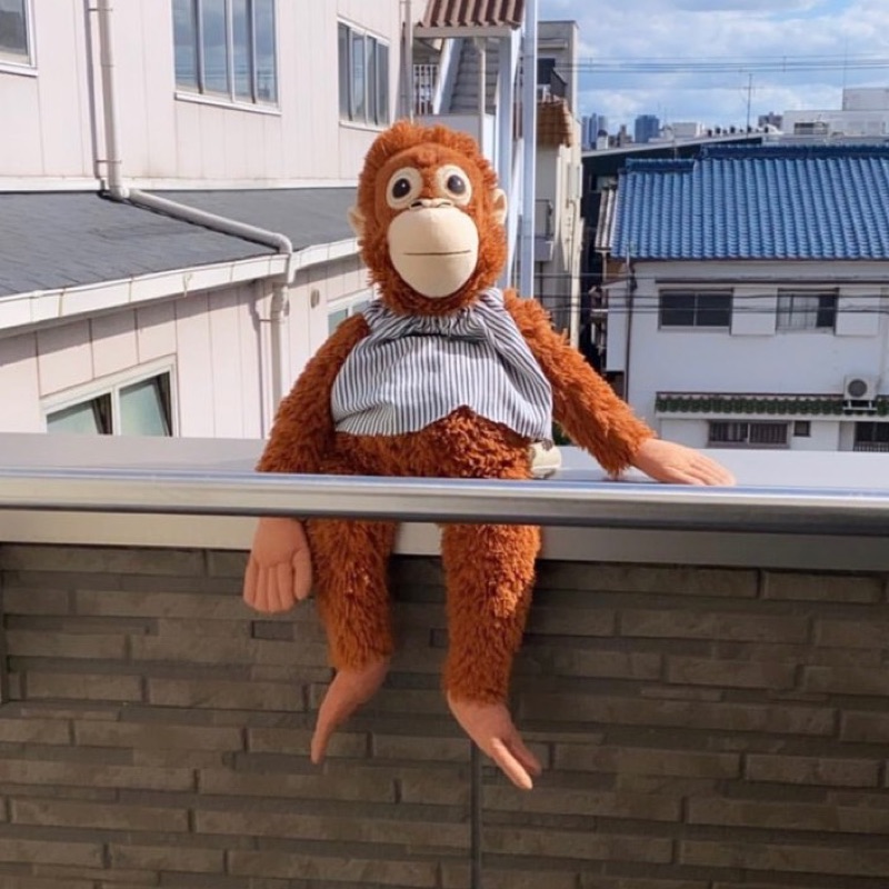 吉岡