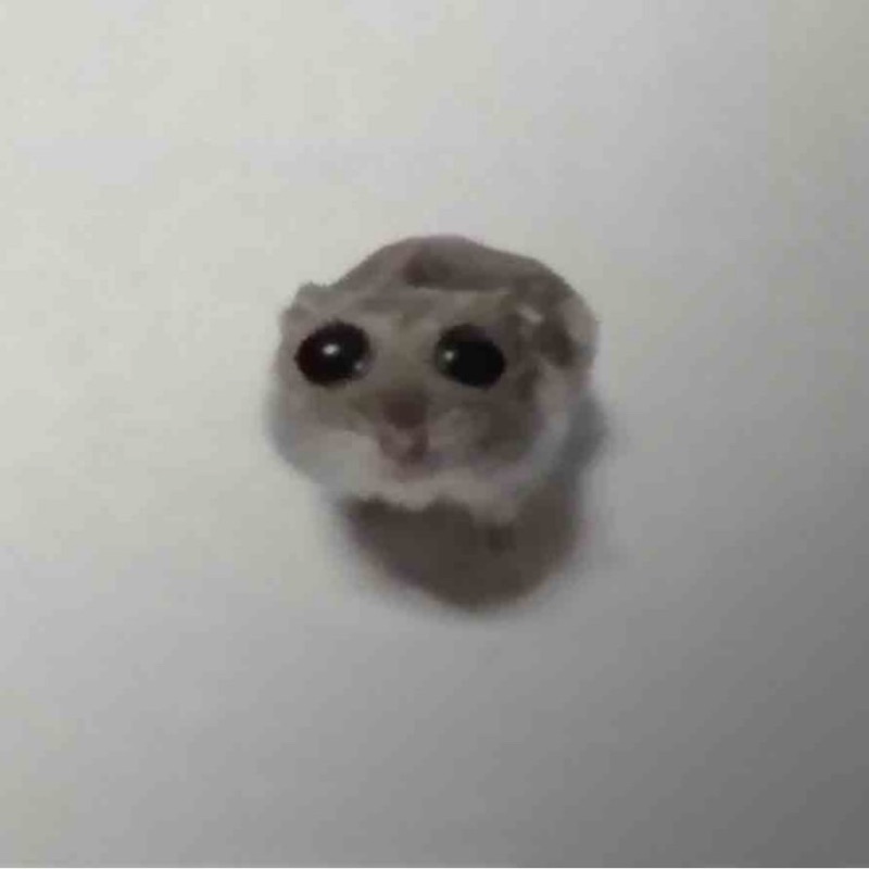 ま