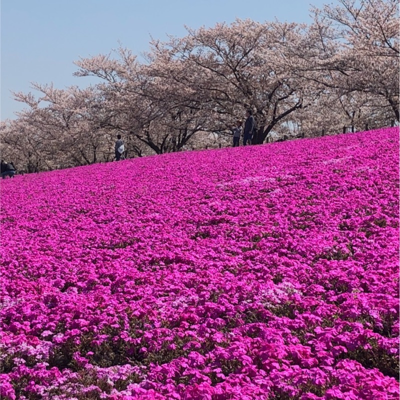 原順子