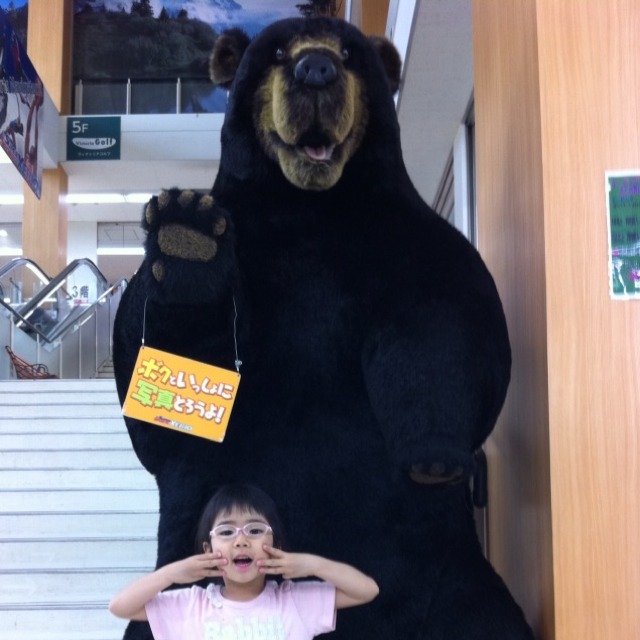 いのくま
