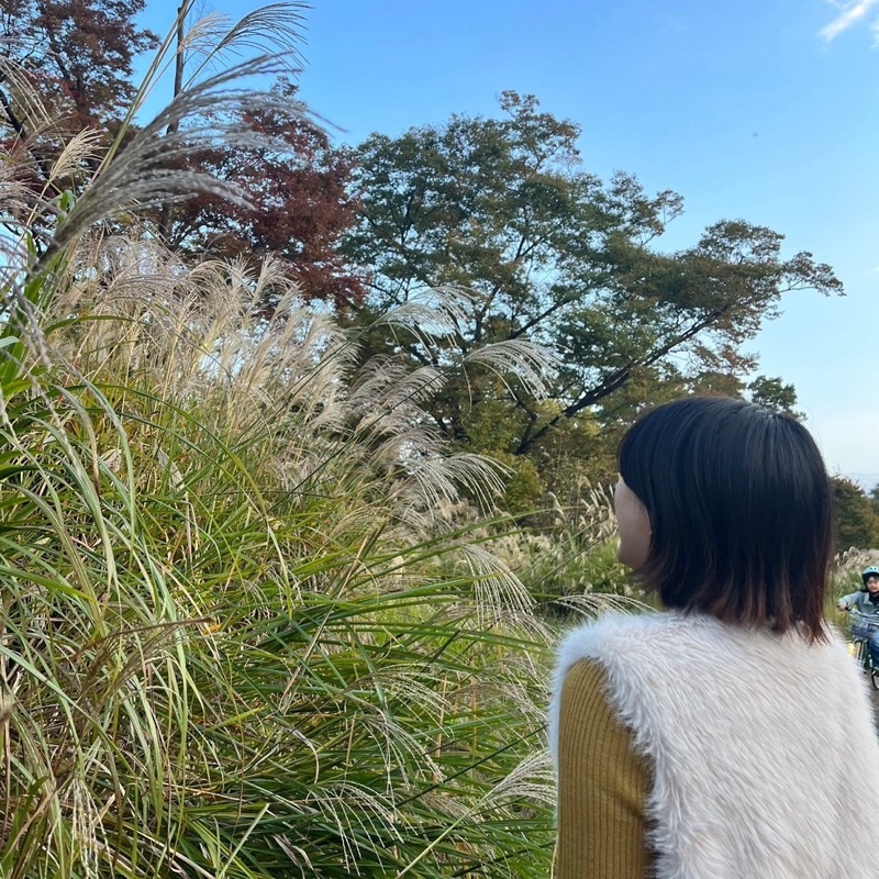 菜月