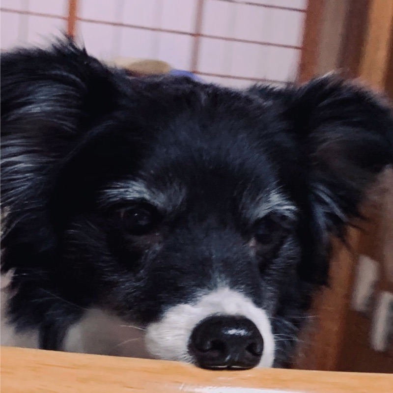 寺田裕人
