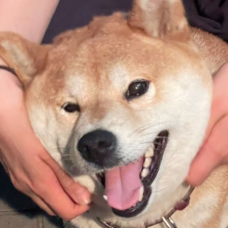 しば