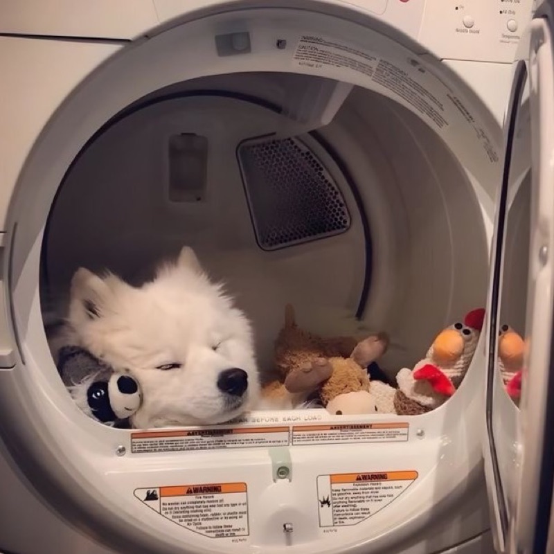おこめ