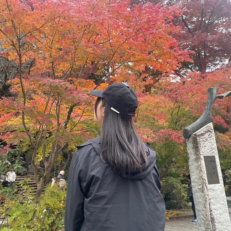 あおい