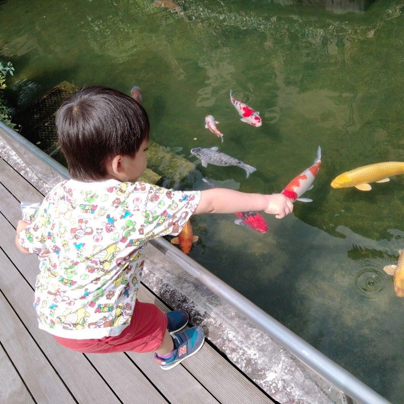 いしだ