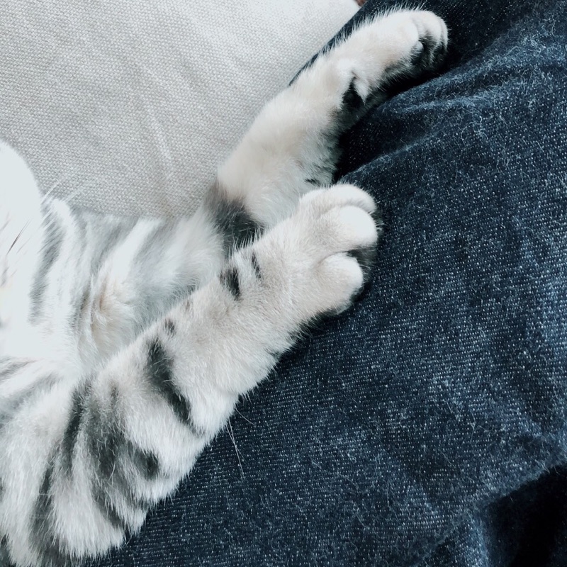さくま