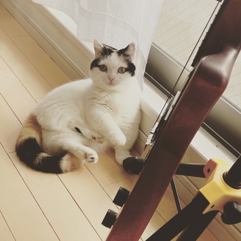 ゆり