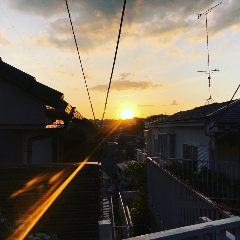 掛川大聖