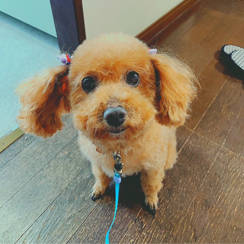 なななな