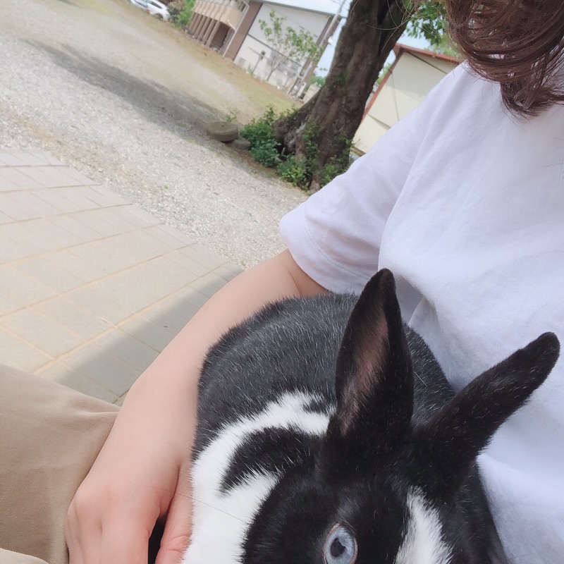 shiori