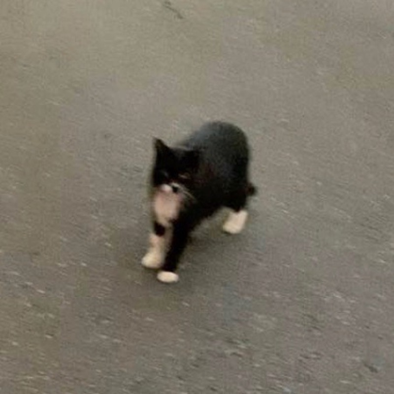佐々木理緒