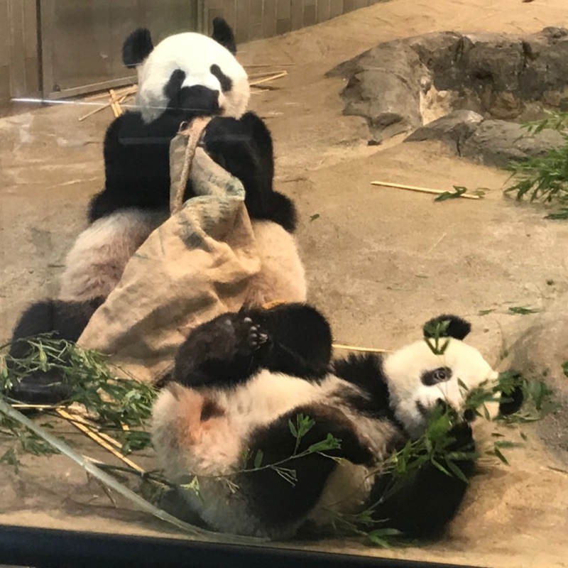 木谷雄偉