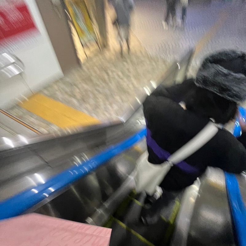 木代 ひめり