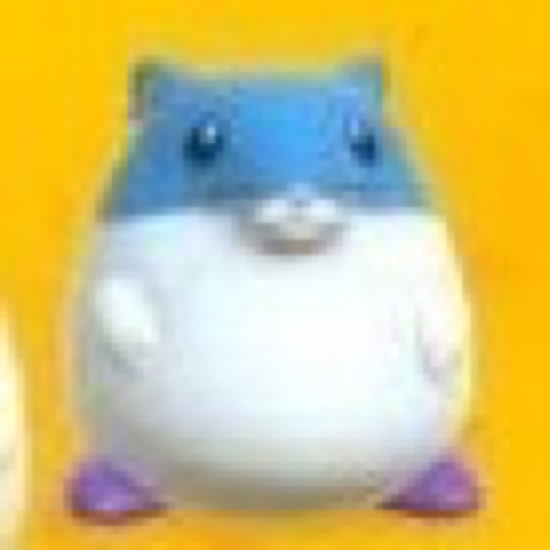 も