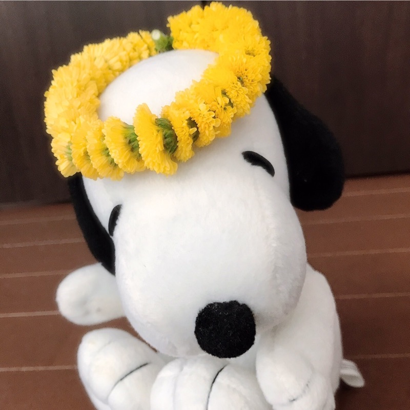 yakko