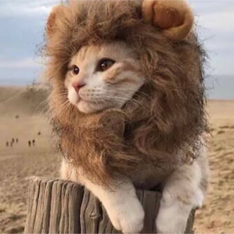 ひろえ