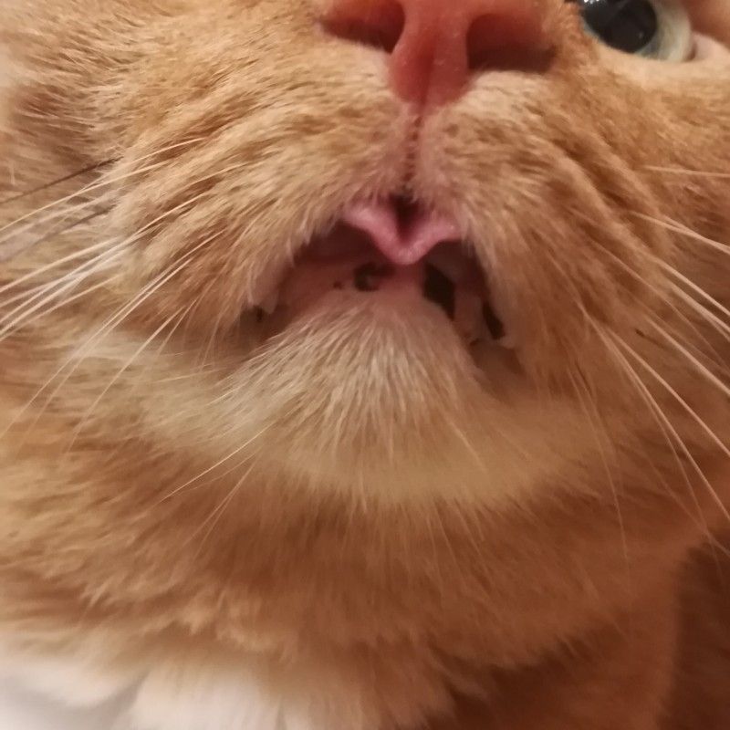 Ke