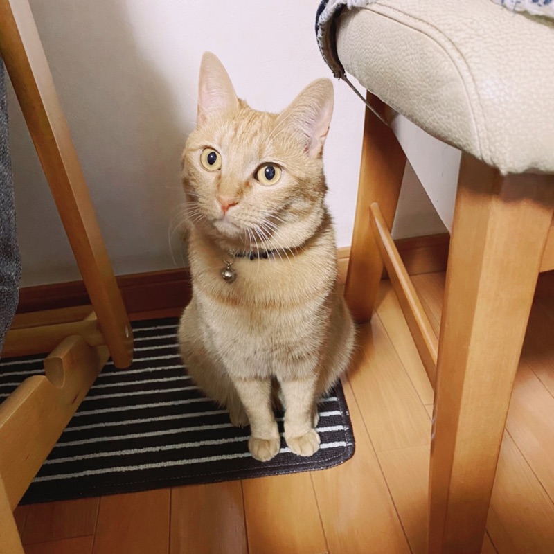 熊谷 徹也
