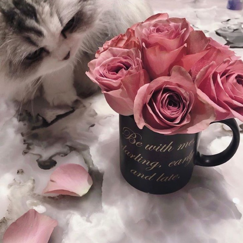 a♡