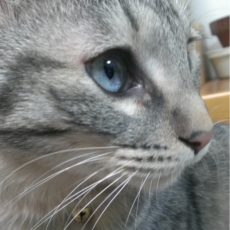 二ノ宮きよ子