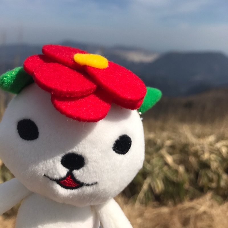 こに