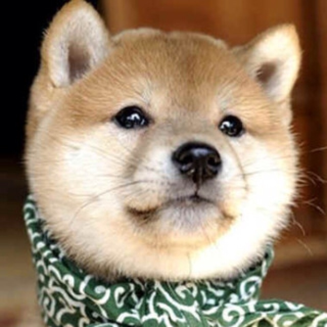 凛