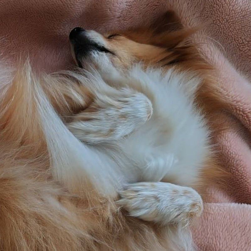 ななな